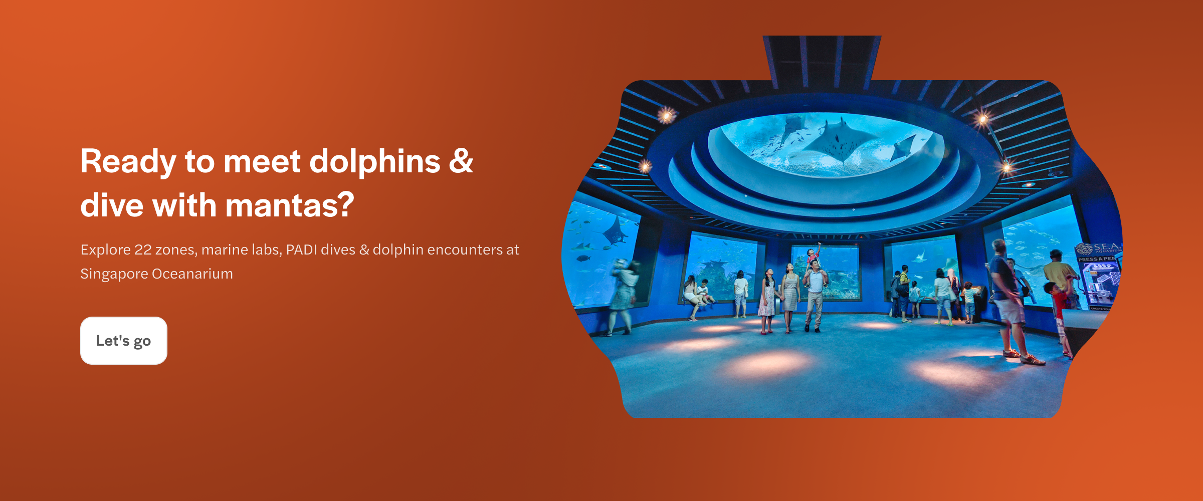 Visitors viewing marine life at Singapore Oceanarium with manta rays overhead.